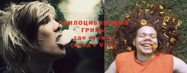 твердый Балахна