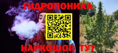 мет Бердск