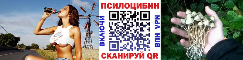 Галлюциногенные грибы мицелий  Бор 