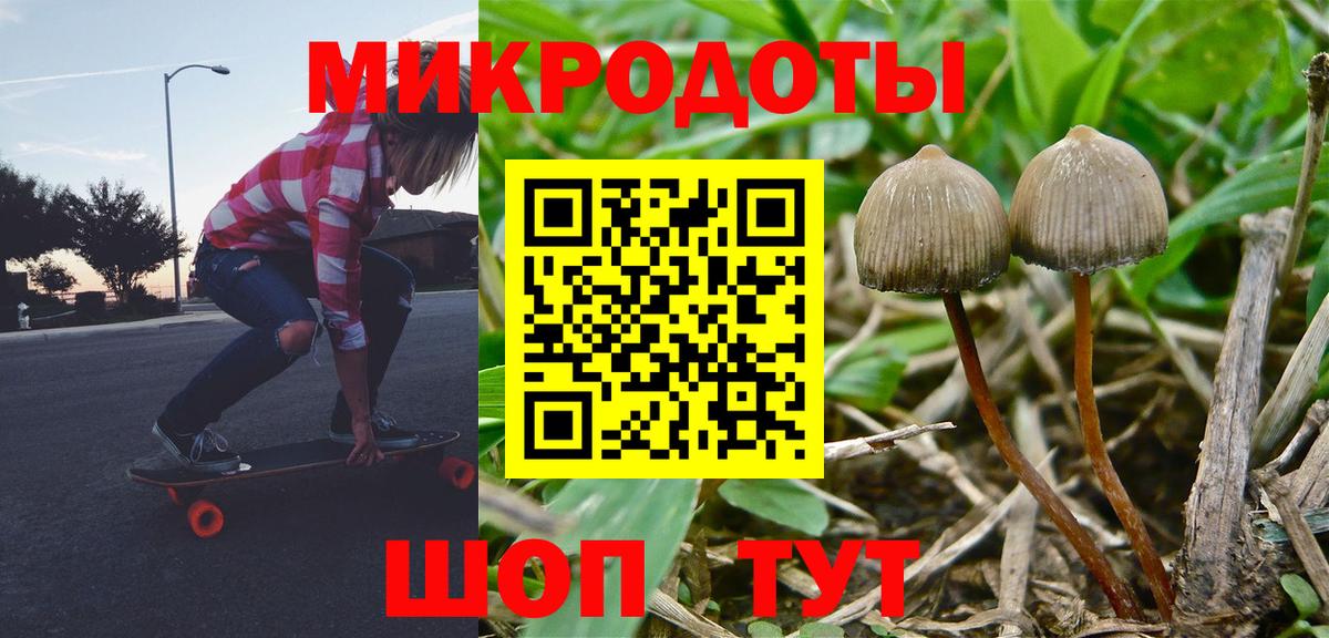 Галлюциногенные грибы Cubensis  Галлюциногенные грибы Psilocybine cubensis  Вход с VPN  Бор 